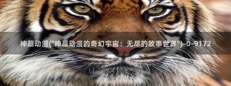 h动漫在线看:神墓动漫(\